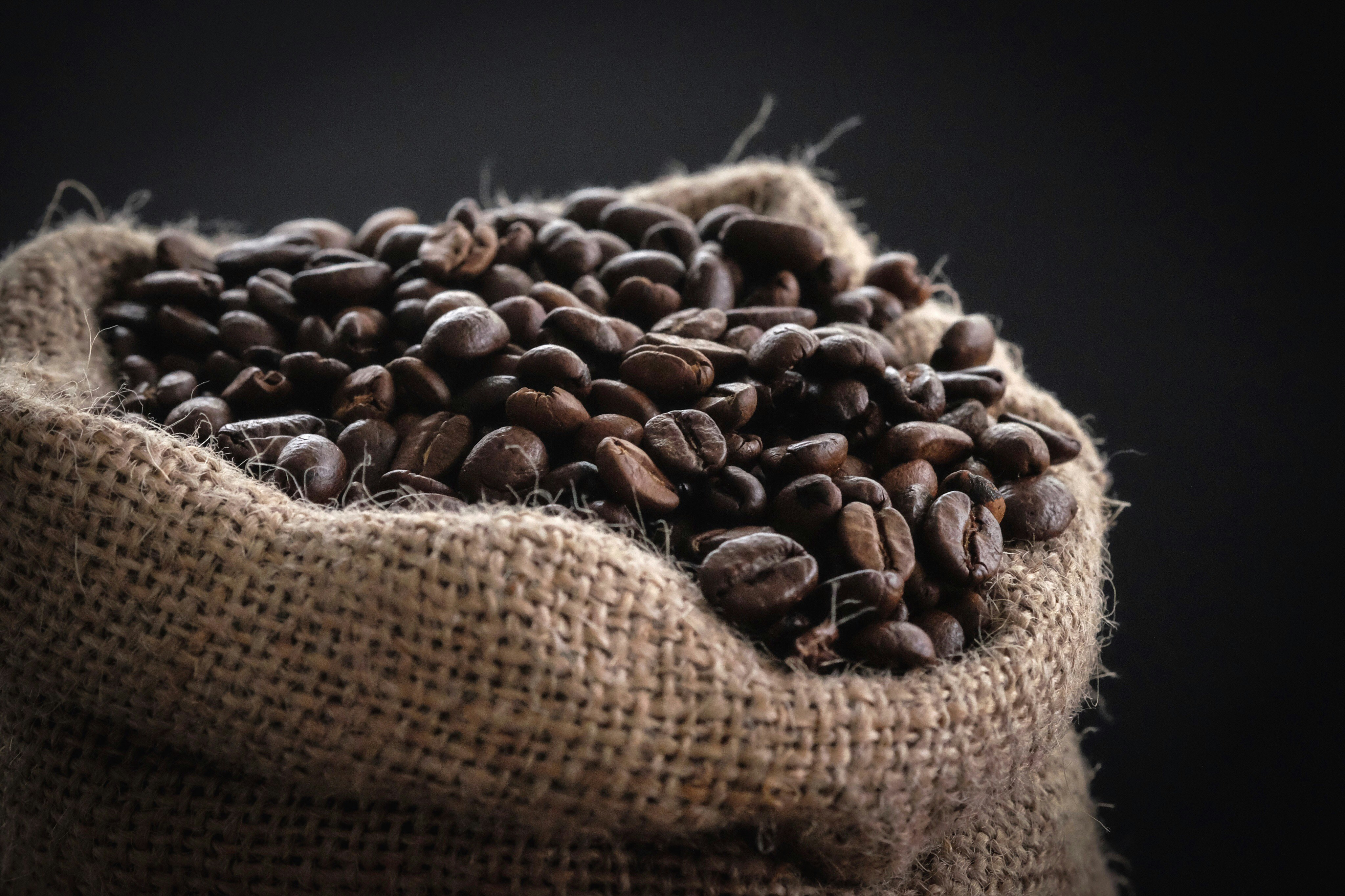 Coffee procurement and lot tracking