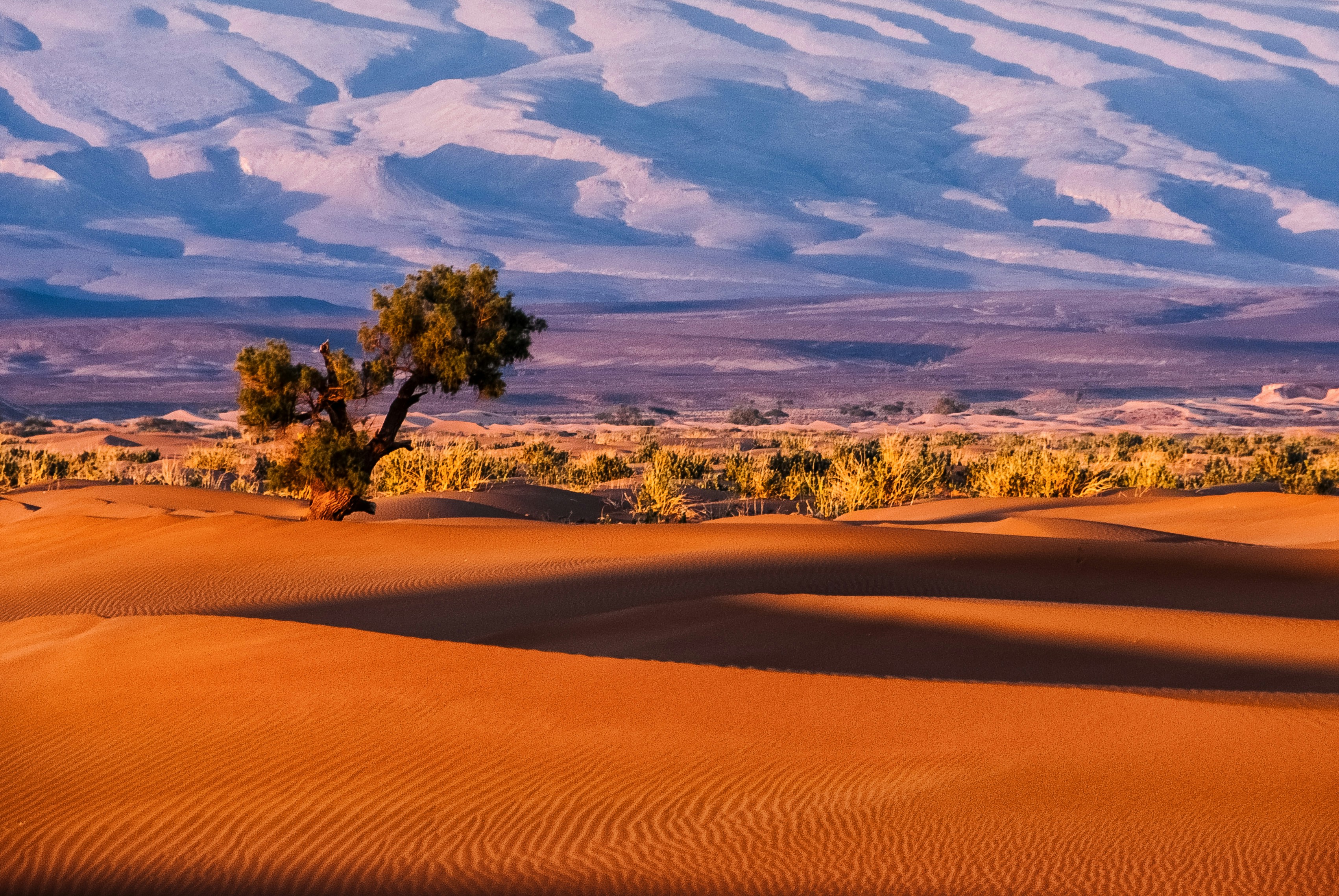 Aerial view of geometric cultivated fields meeting barren arid land — the global desertification frontier where Liquid Nanoclay is designed to turn the tide