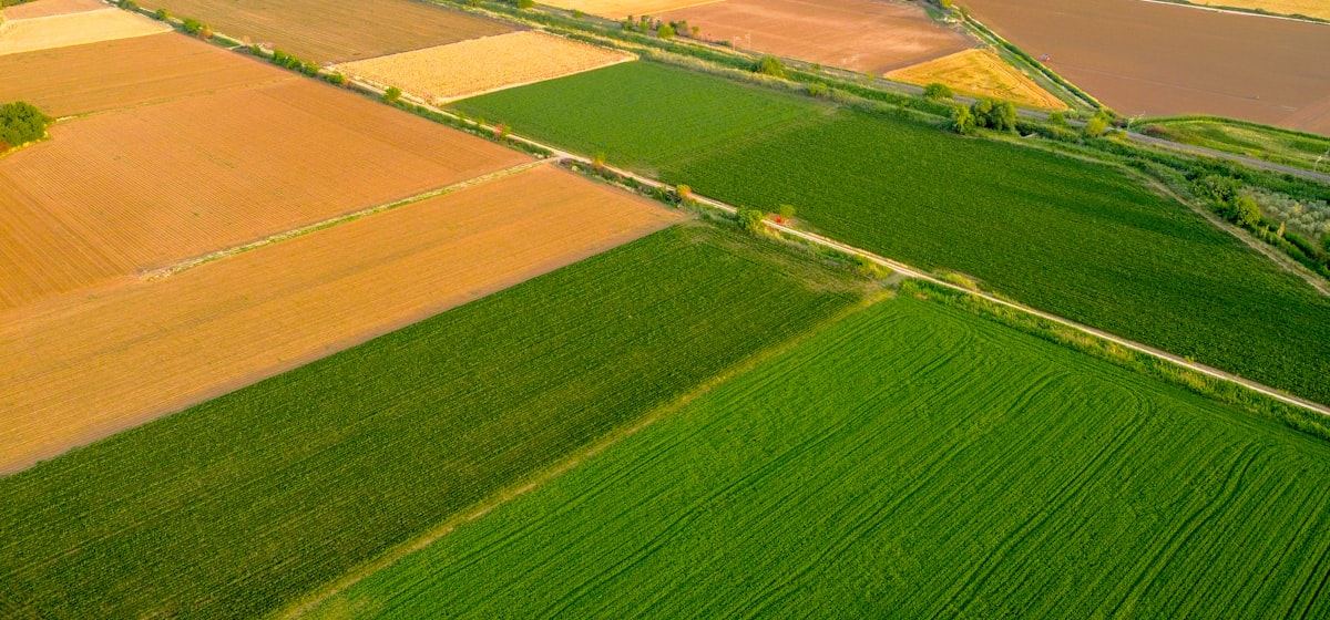 Patchwork of farmland parcels, aerial view