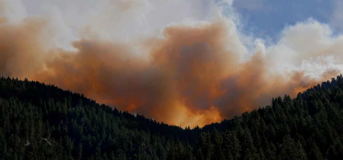 Wildfire smoke plume over forested terrain, aerial view