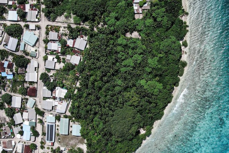 Aerial view of a settled island edge, its treeline, beach and surrounding reef